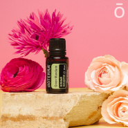 АКЦИЯ Августа