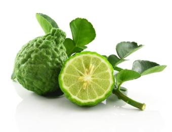 BERGAMOT DōTERRA  ESSENTIAL OIL /  Бергамот Дотерра (Citrus bergamia) 15мл