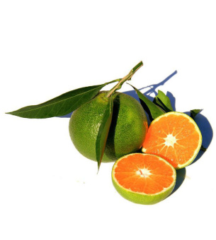 GREEN MANDARIN DōTERRA ESSENTIAL OIL / Зеленый мандарин Дотерра (Citrus nobilis), 15 мл