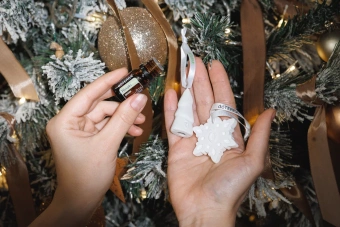 НАБОР «ЛЕСНАЯ СКАЗКА»