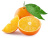 WILD ORANGE DōTERRA ESSENTIAL OIL / Дикий апельсин Дотерра  (Citrus sinensis), 15 мл