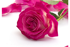 АКЦИЯ МАРТА 2024