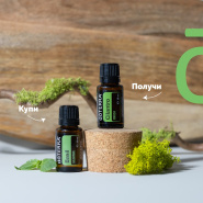 АКЦИЯ ИЮЛЯ 2024