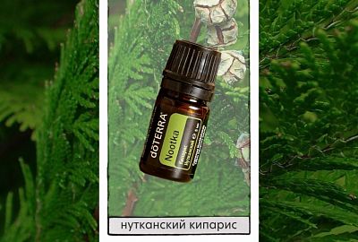 АКЦИЯ Ноября