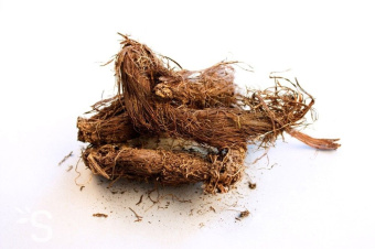 SPIKENARD DōTERRA ESSENTIAL OIL / Нард Дотерра ( Nardostachys jatamansi ), 5 мл