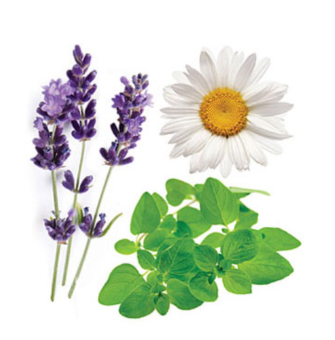 SERENITY DōTERRA RESTFUL COMPLEX SOFTGELS / Безмятежность Дотерра, 60 капсул 