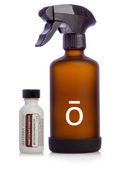 CLEAN HOUSE / Набор "аbode: чистый дом"