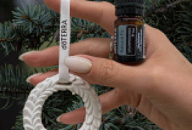 Бальзамическая Пихта – Сокровище Природы для Здоровья и Уюта: Аромат Севера Бальзамическая Пихта – Сокровище Природы для Здоровья и Уюта: Аромат Севера