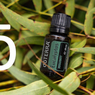 АКЦИЯ Января