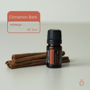 Корица, чем она полезна?