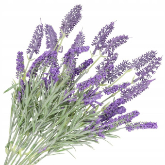 LAVANDER DōTERRA ESSENTIAL OIL / Лаванда Дотерра ( Lavandula angustifolia ), 15мл