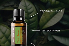 Чайное дерево, Чайное настроение