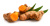 TURMERIC DōTERRA ESSENTIAL OIL / Куркума Дотерра ( Curcuma longa ), 15мл