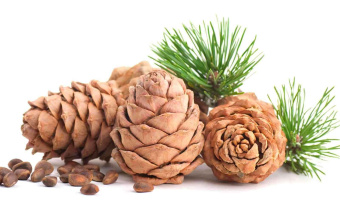 CEDARWOOD DōTERRA ESSENTIAL OIL / Кедр Дотерра (Juniperus virginiana), 15 мл