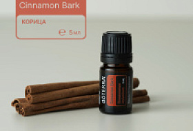 Корица, чем она полезна? Корица, чем она полезна?