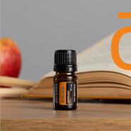 АКЦИЯ НОЯБРЯ 2024