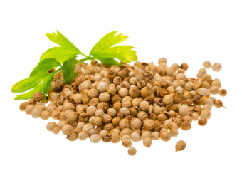 CORIANDER DōTERRA ESSENTIAL OIL / Кориандр Дотерра ( Coriandrum sativum ) , 15 мл