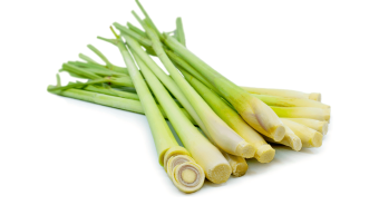 LEMONGRASS DōTERRA ESSENTIAL OIL / Лемонграсс Дотерра ( Cymbopogon flexuosus ), 15мл